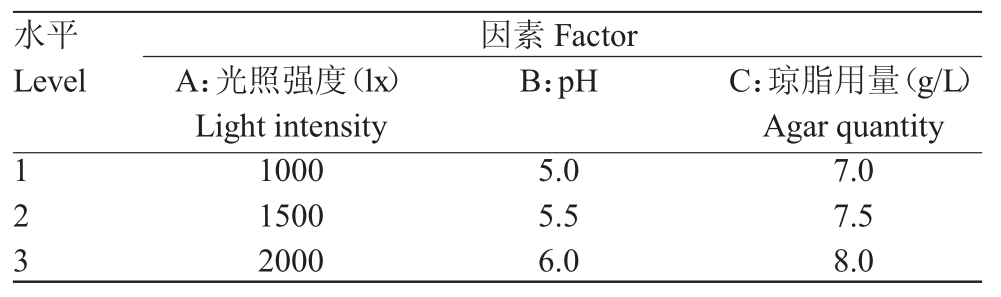 草莓免费视频室设计