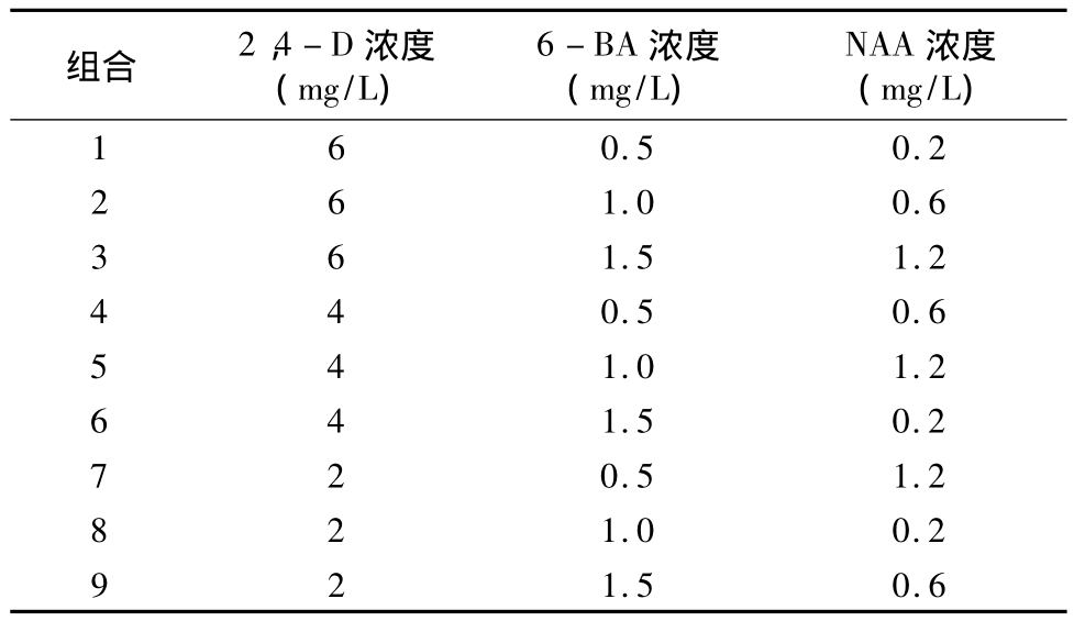 草莓免费视频实验室